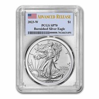 2023-w 1 Oz Burnished Silver Eagle Sp-70 Pcgs Ar