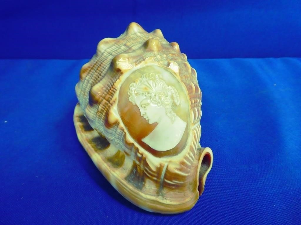 Cameo Carved Shell