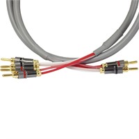 Blue Jeans Canare 4S11 Speaker Cable  10 Foot