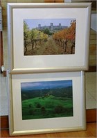 Two decorative framed European scenic prints
