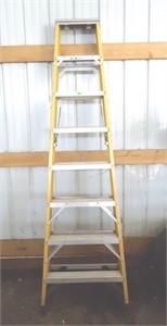 Werner 12' ladder