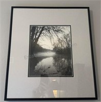 Black & White Photograph of Swamp 16”x18”