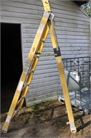 Fiberglass Extension Step Ladder