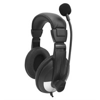 School Headset with Microphone