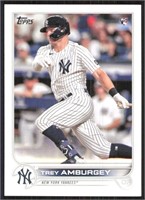 RC New York Yankees Trey Amburgey