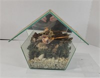 Glass Bird House Terrarium