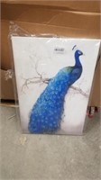 20x29.5 Canvas Peacock Print