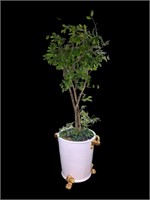 A Tall Faux Tree in Large Glazed Pot