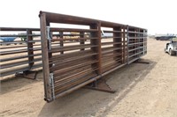 (10) Free Standing 24' Cattle Panels