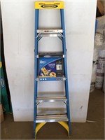 Werner 6' Fiber Glass Ladder