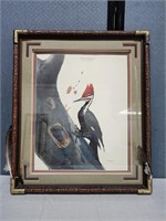 Signed Ray Harm Pileated Wood Pecker Framed Print