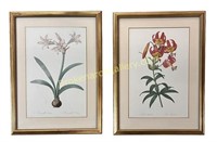 2 Floral Prints after Pierre-Joseph Redoute