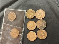 8 Indian Head Pennies