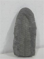 3.5" Fossil