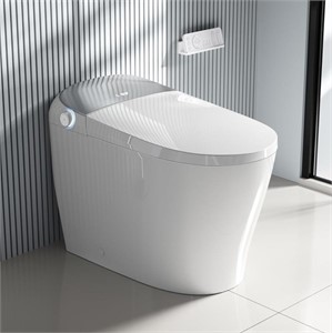 Luxury Smart Toilet with Bidet Built In