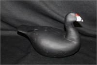 Carved Coot by Nick Sapone Wanchese NC 10"L