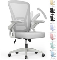 naspaluro Ergonomic Office Chair  Grey
