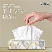 Kleenex Professional Facial Tissue 12 PACK