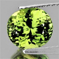 Natural Canary Green Tourmaline 7x6 MM - FL