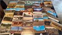 Cattle Postcards