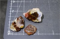 Windowed Fire Agate, 28 gram, 3 pieces