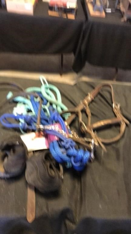 Harness and rope