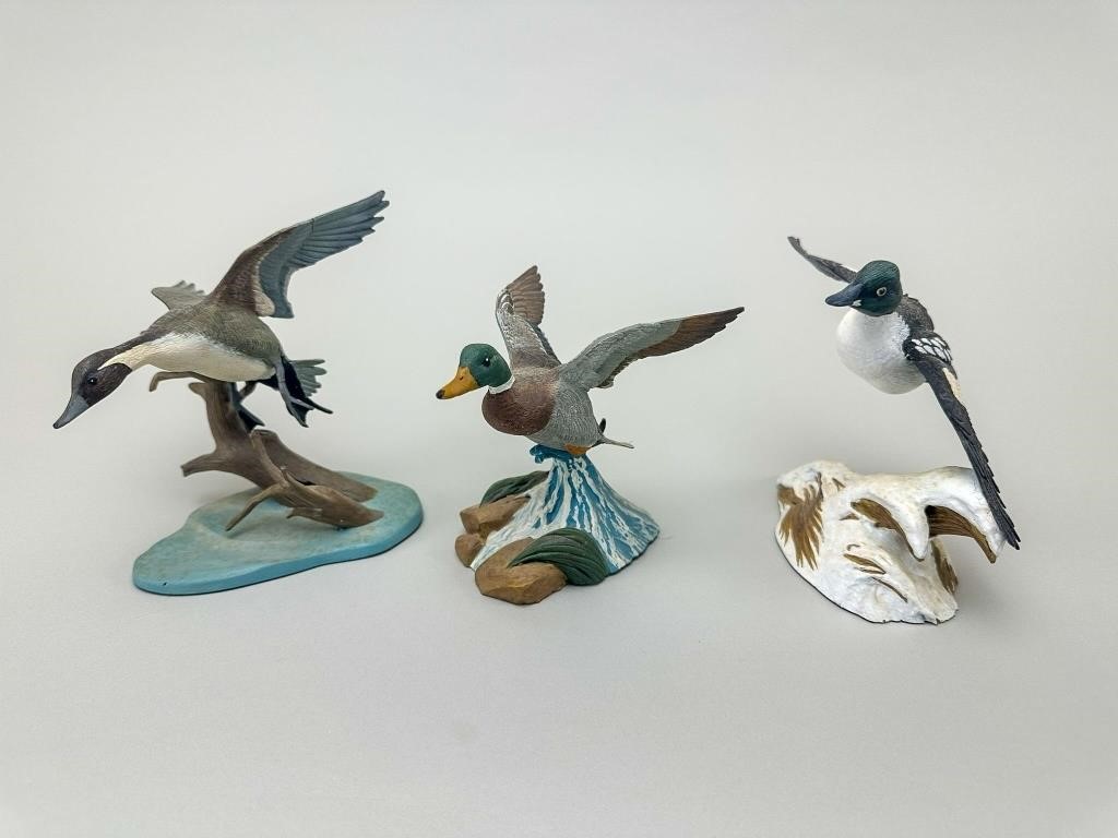 Vintage Carved Duck and Bird Decoys, Calls, Framed Prints