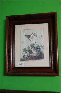 Double Framed Bird Print