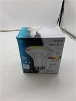Ecosmart smart bulb