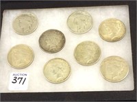 Set of 8 Peace Silver Dollars Including