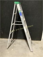 6' Werner Metal Ladder