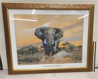 elephant picture
