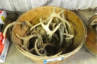Large apple basket with antlers - "Amish Butterpr
