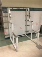 Maxicam squat rack