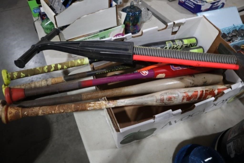 COLLECTION OF WOOD & METAL BATS, POGO STICK