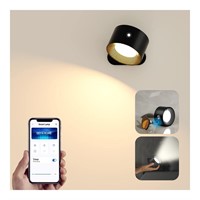 Smart Wall Sconces  Koopala LED Mounted Lamps