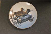 Collectable Plate "The Pintails"