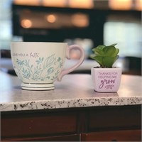 New Mothers Day Succulant and Bloom Tea Gift Set