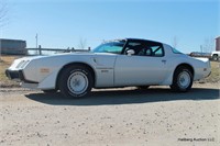 1981 Trans Am Daytona 500 Pace Car