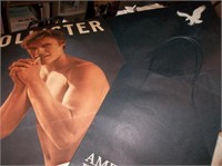 Hollister & Am Eagle Gift Bags