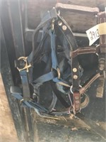 2 - Nylon & 1 - Leather Pony Halters