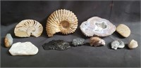 Group of fossils, etc., box lot