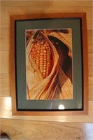 Corn Picture, Zecher Photography,