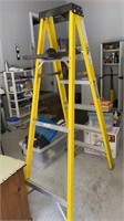 6 Foot Werner Ladder