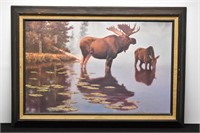 Bull and Cow Moose Standing in Water Print