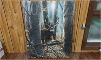 Beautiful Deer Canvas Print  Art, 22 x 28 inches,
