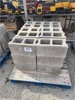 30 concrete blocks on pallet.