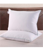 Allied Home Queen Pillows Set of Two