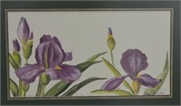 Print of Irises