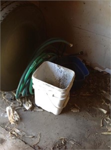 Two buckets and garden hoses